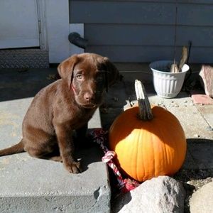 Meet your Posher, April